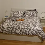 Appartamento Giulio VI